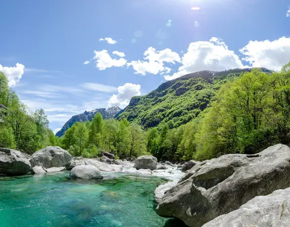 Natură
